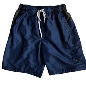 Speedo Mens Swim Trunks Blue Gray Shorts SZ M